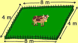 Parcours 22 Sixième